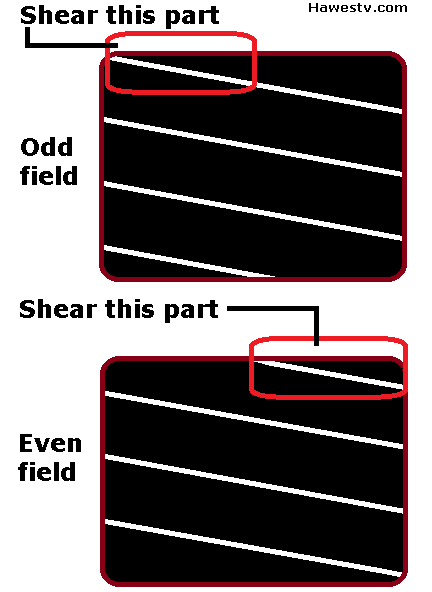 Art: Odd and even TV fields; how system converts 
            one type to the other